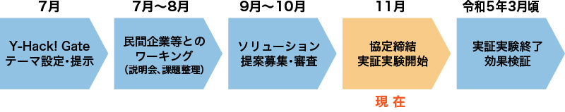 実証事業の流れフロー図画像